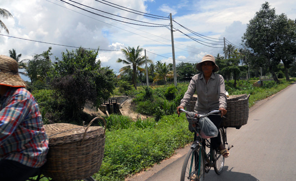 camboja-inospito