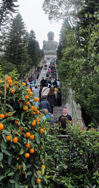 hong-kong-big-budhha-2