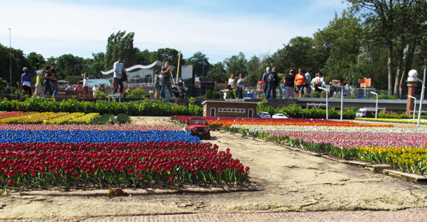 madurodam-tulipas