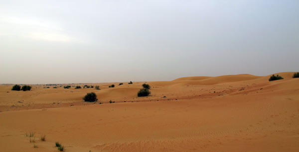 dubai-deserto