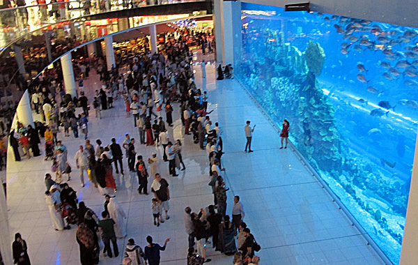 dubai-mall-aquarium