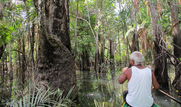 alter-do-chao-floresta-encantada