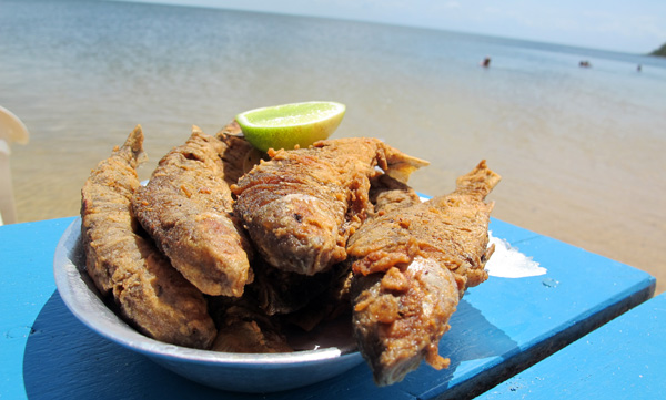 alter-do-chao-peixe-charutinho