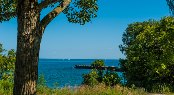 toronto-the-beach