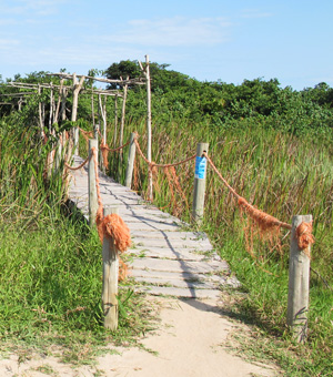 itaunas-trilha-tamandare-entrada