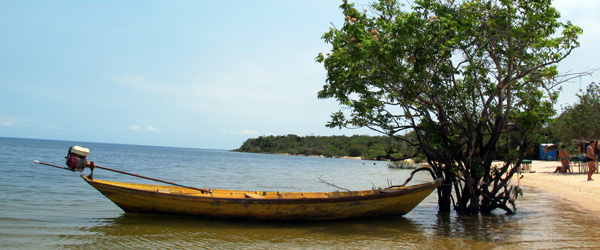 alter-do-chao-brasil-geral