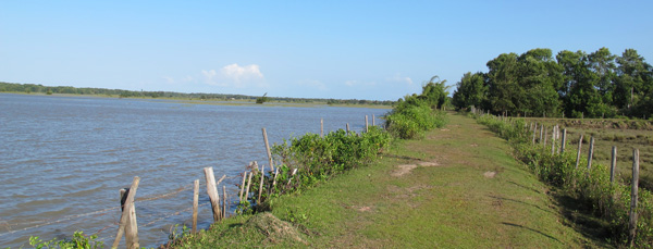 ilha-do-marajo-fazenda-bom-jesus-trilha-caminho