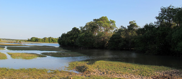 ilha-do-marajo-fazenda-bom-jesus-trilha-lago