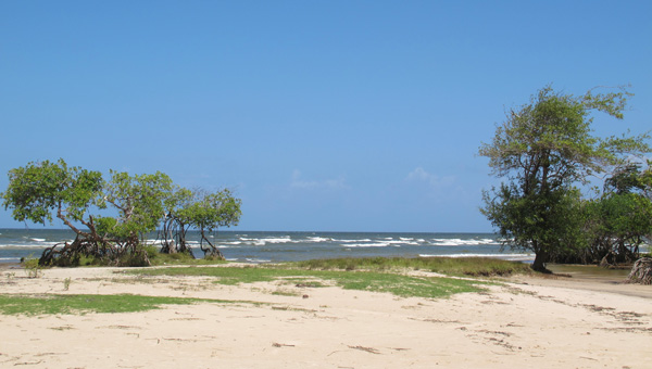 ilha-do-marajo-galeria-praia