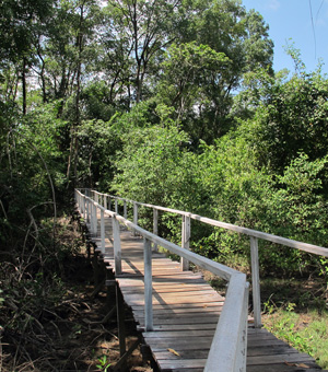 ilha-do-marajo-praia-barra-velha