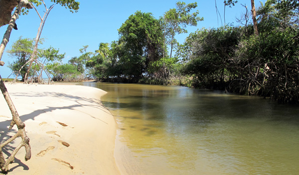 ilha-do-marajo-praia-do-pesqueiro-igarape