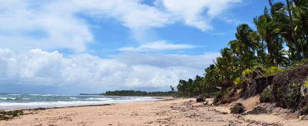 barra-grande-saquaira